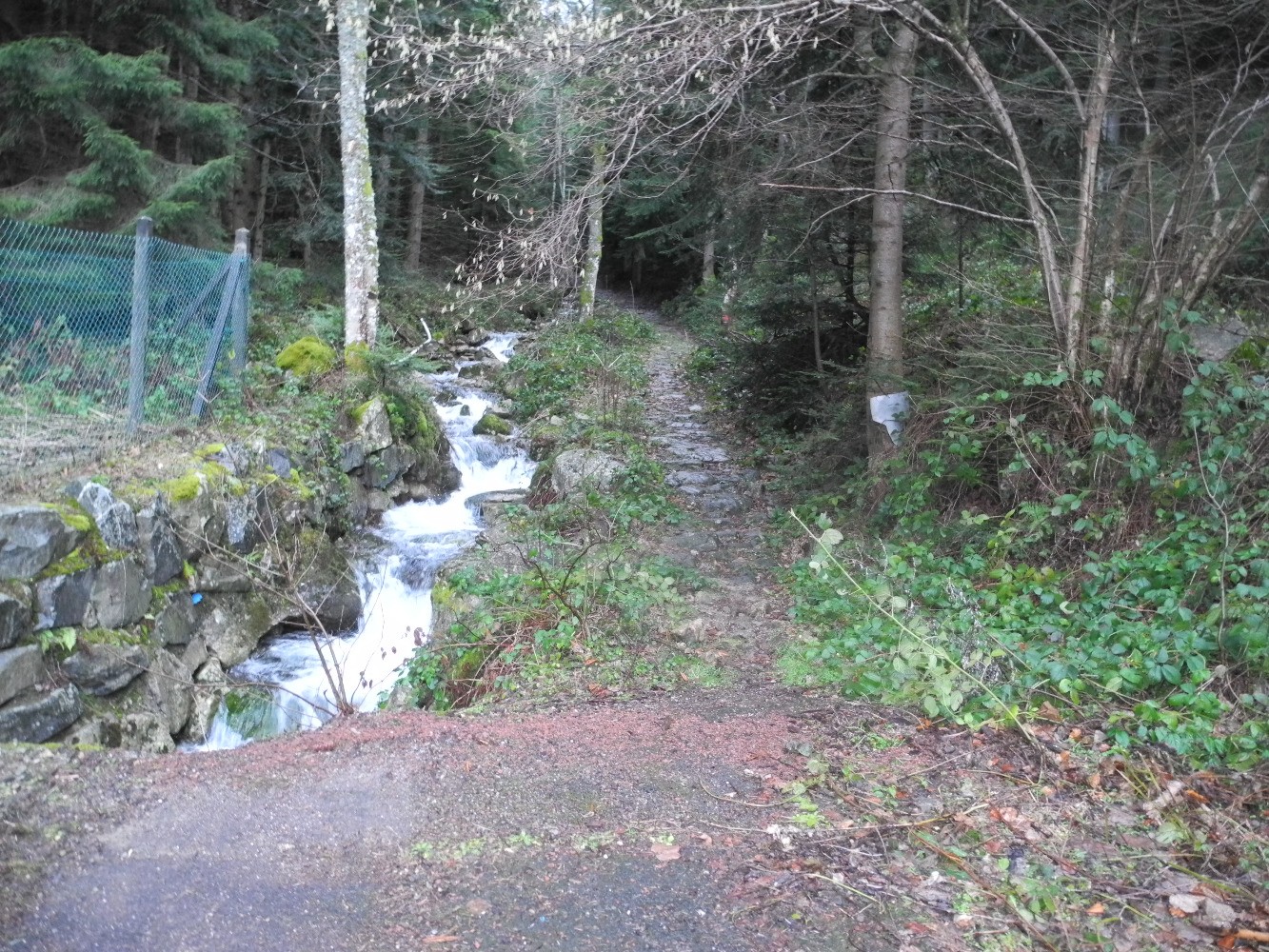 DÃ©part du sentier de montÃ©e