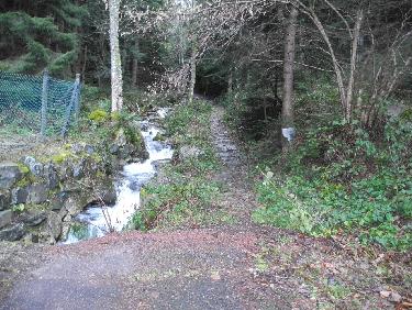 DÃ©part du sentier de montÃ©e