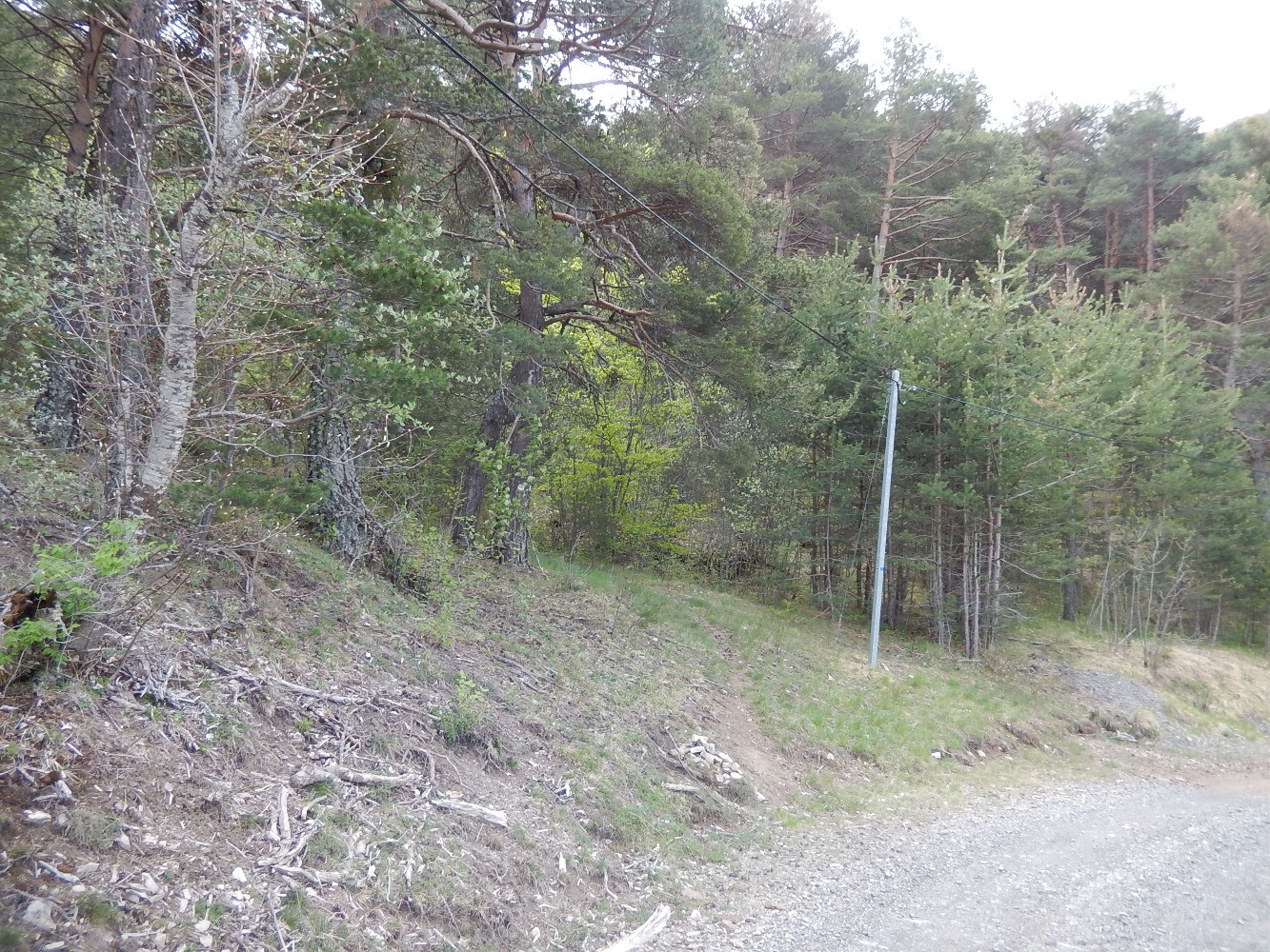 DÃ©part du sentier vers la Viste