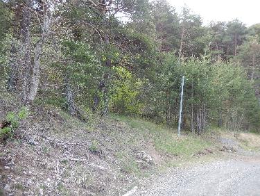 DÃ©part du sentier vers la Viste