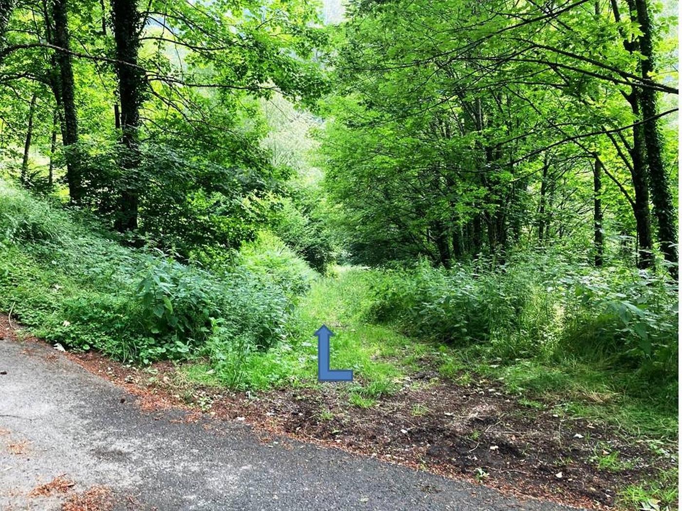 Départ du sentier de retour au parking