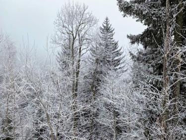 Départ glacial sous la neige