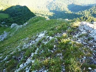 Depuis le promontoire principal : vue vers le bas