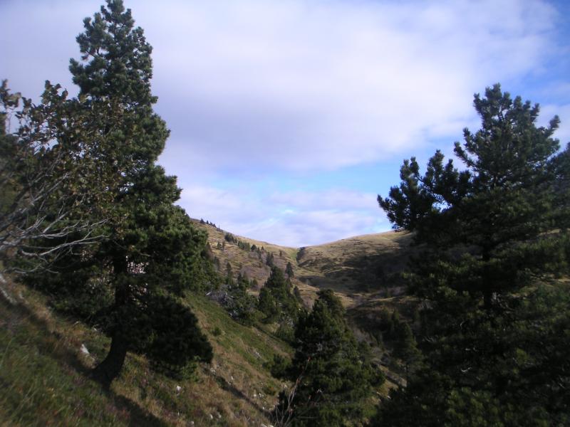 depuis l'arête sud
