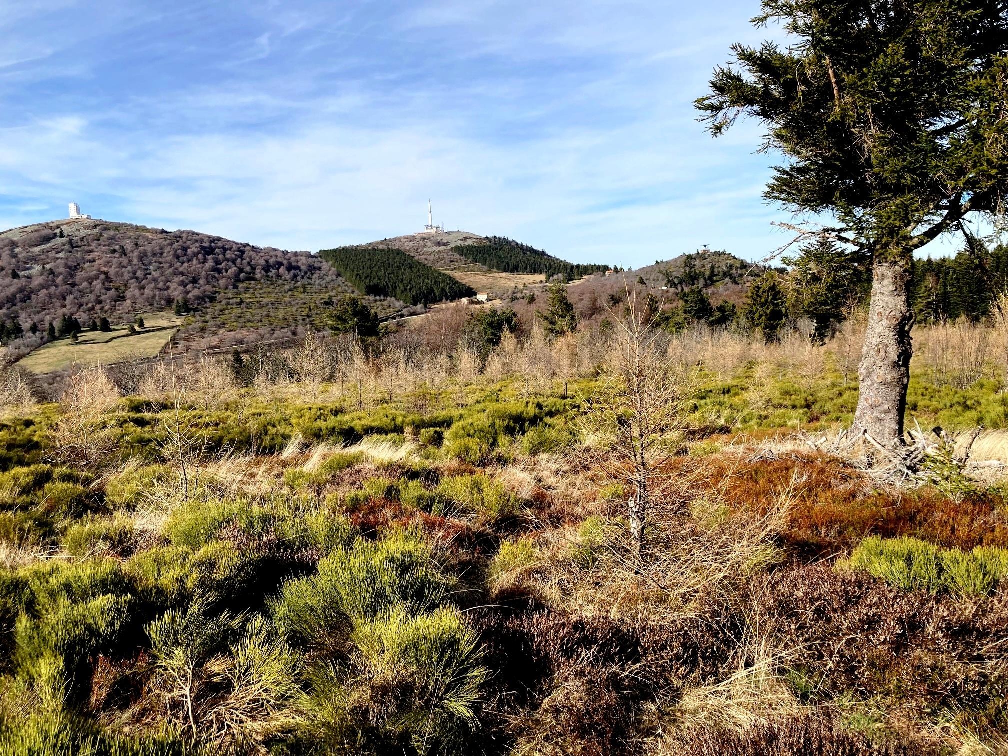 Depuis la trace, les Crêts de Botte et de l'Oeillon