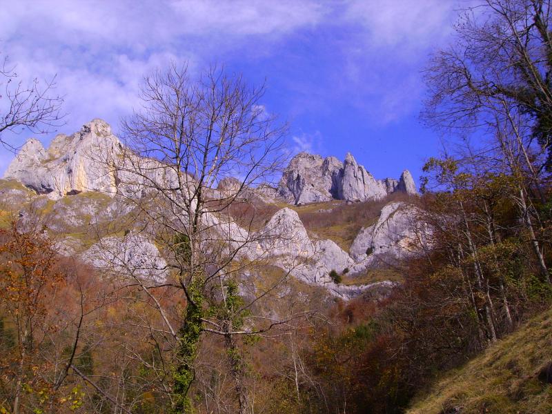 depuis le bas