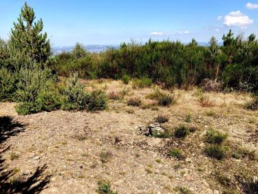 Depuis le point haut