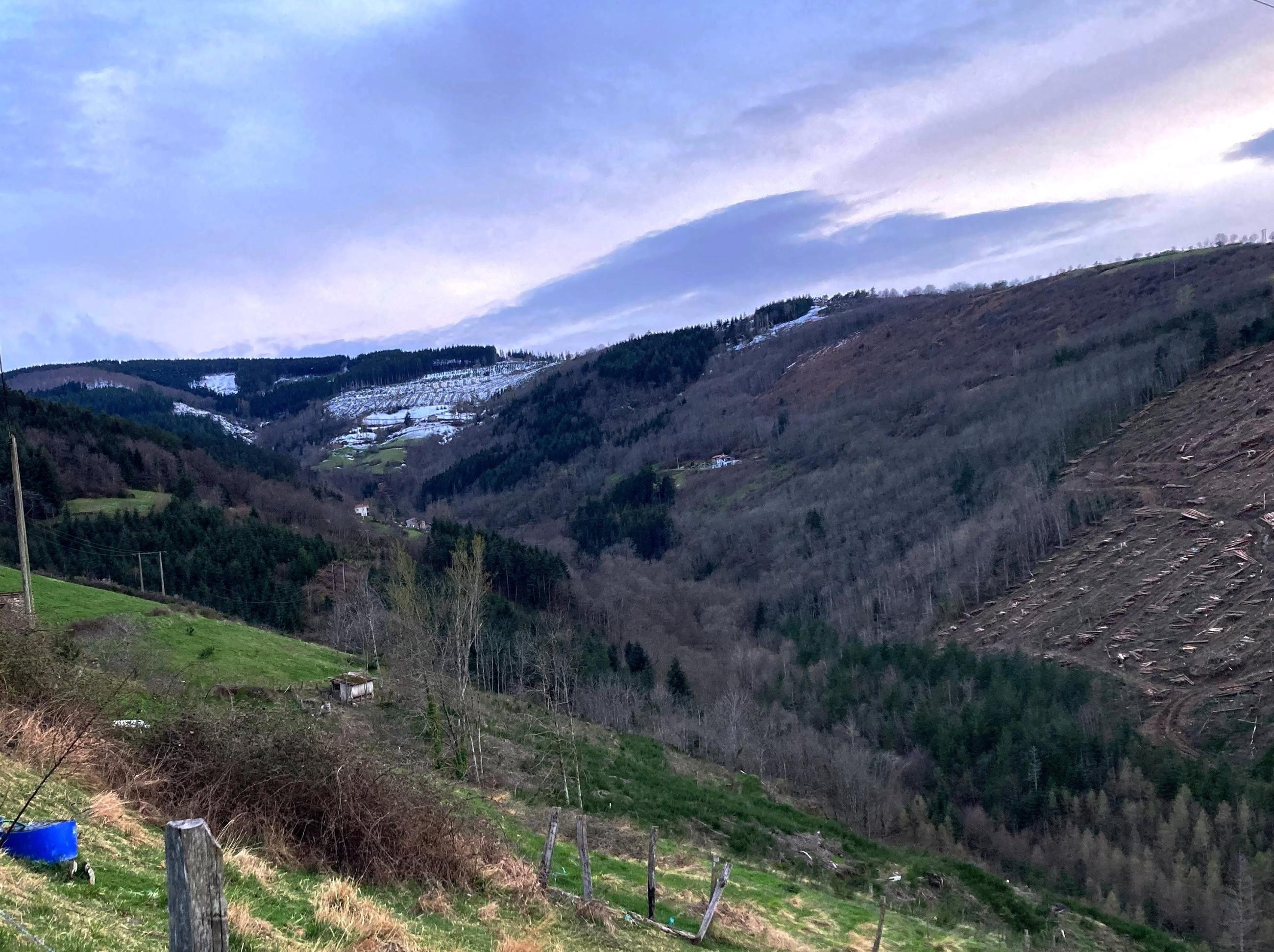Depuis la route, vue arrière vers le fond du vallon