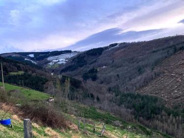 Depuis la route, vue arrière vers le fond du vallon