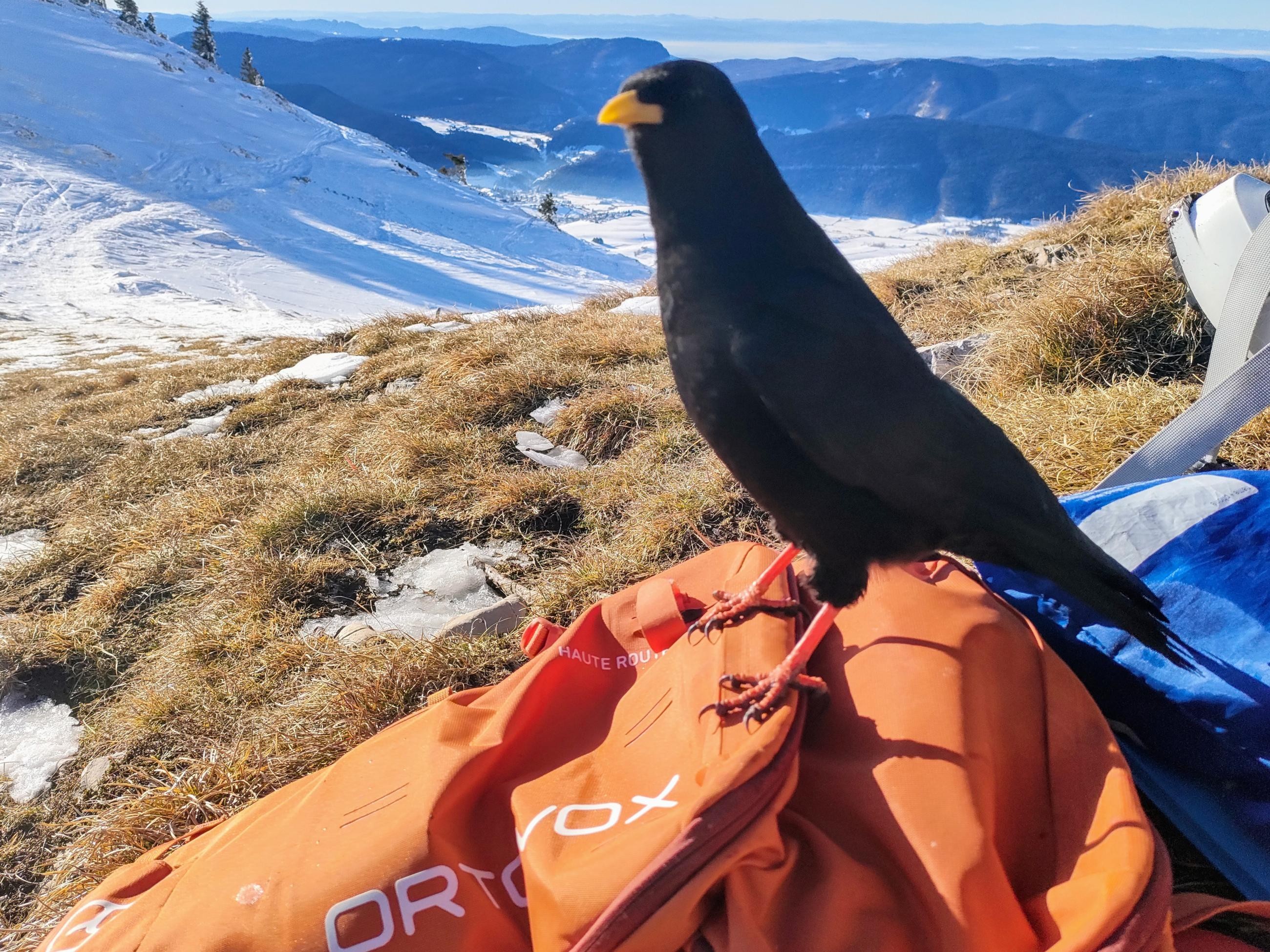 Dernière sortie de ski de l'année 