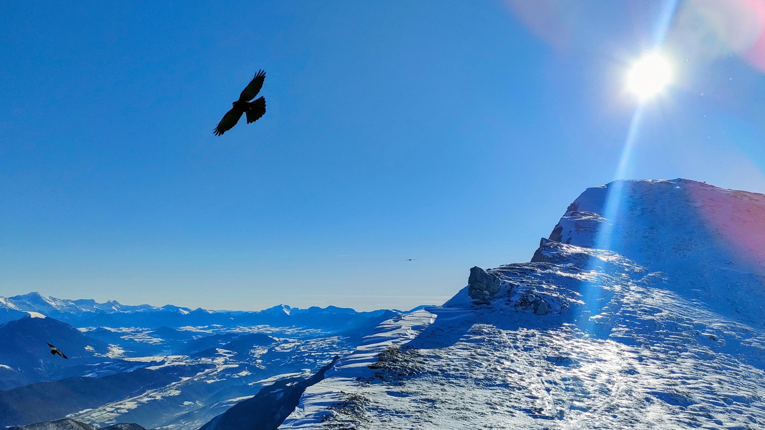 Dernière sortie de ski de l'année 