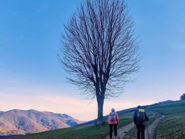 Derniers délices dans les Pyrénées