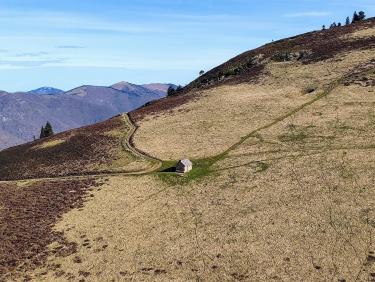 Derniers délices dans les Pyrénées