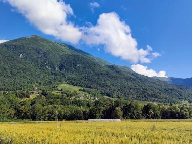 Des conditions atomiques !