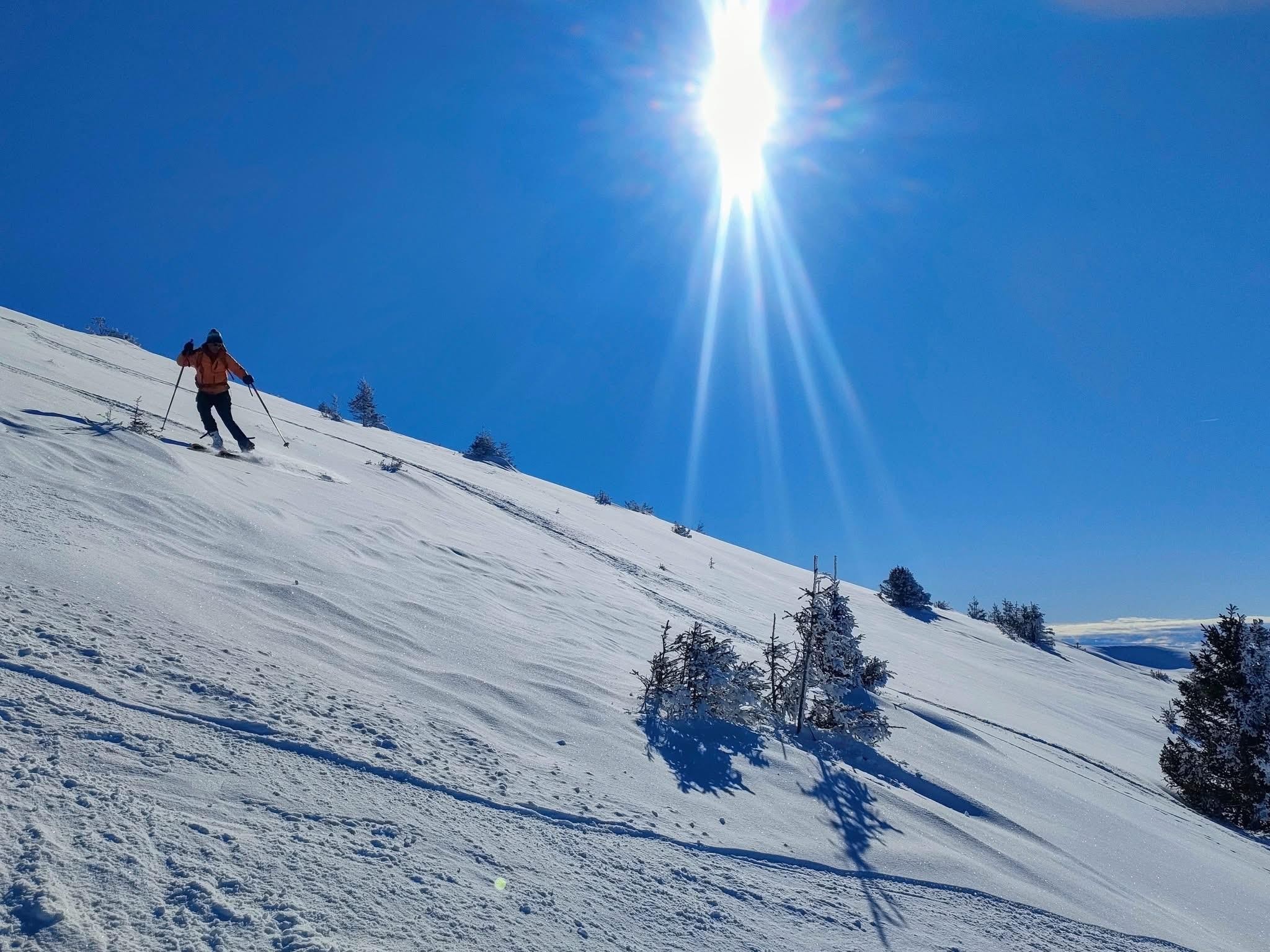Des mushers au Taillefer !