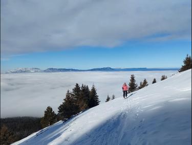 Des mushers au Taillefer !