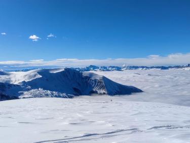 Des mushers au Taillefer !