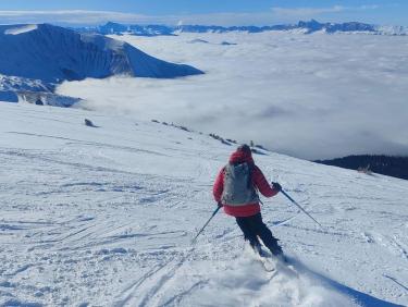 Des mushers au Taillefer !
