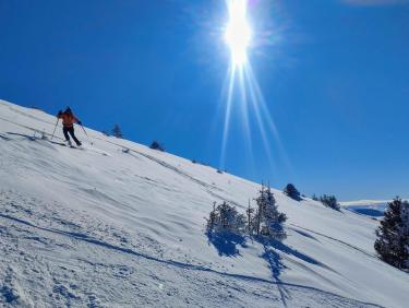Des mushers au Taillefer !