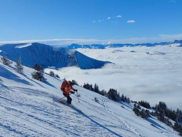 Des mushers au Taillefer !