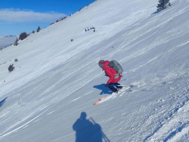 Des mushers au Taillefer !