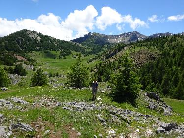 Des RosÃ©s des PrÃ©s dans le cirque de Morgon