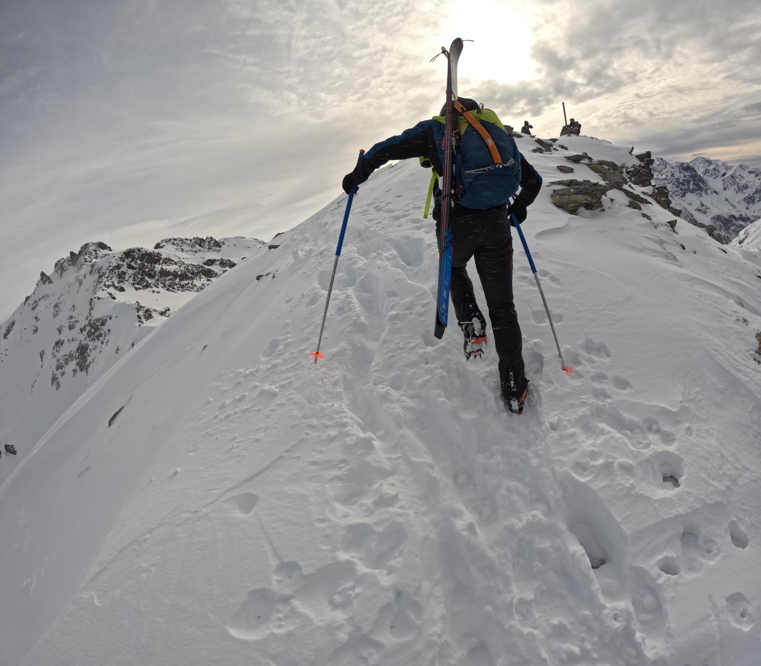 Des Arêtes dans le Jardin 