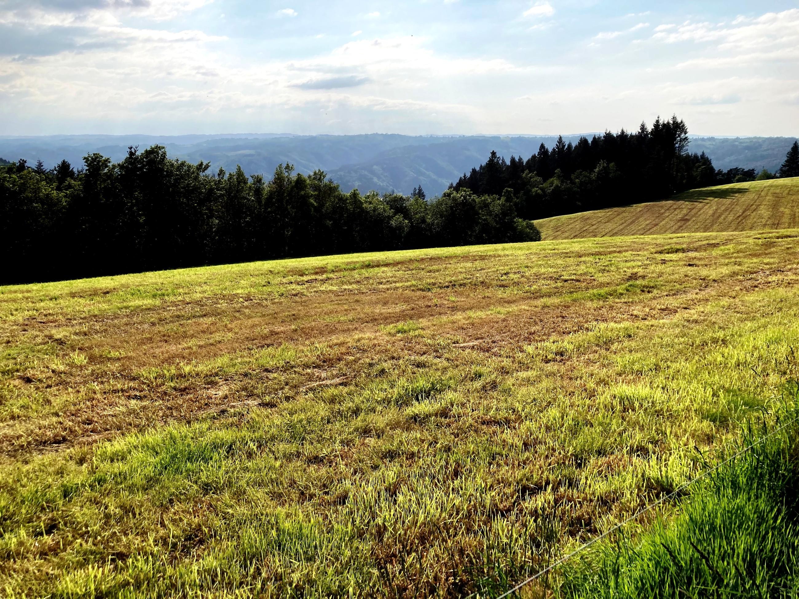 Des Plats vers l'W (Monts du Livradois...)