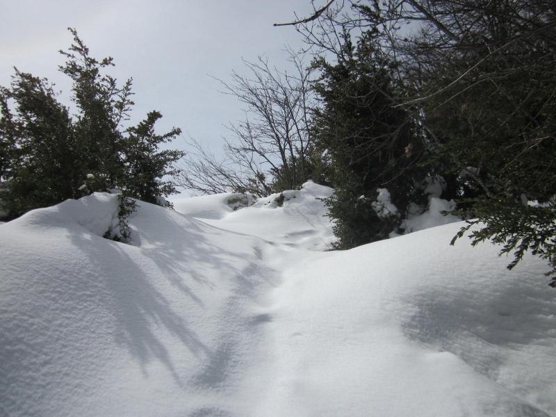 des tonnes de neige...
