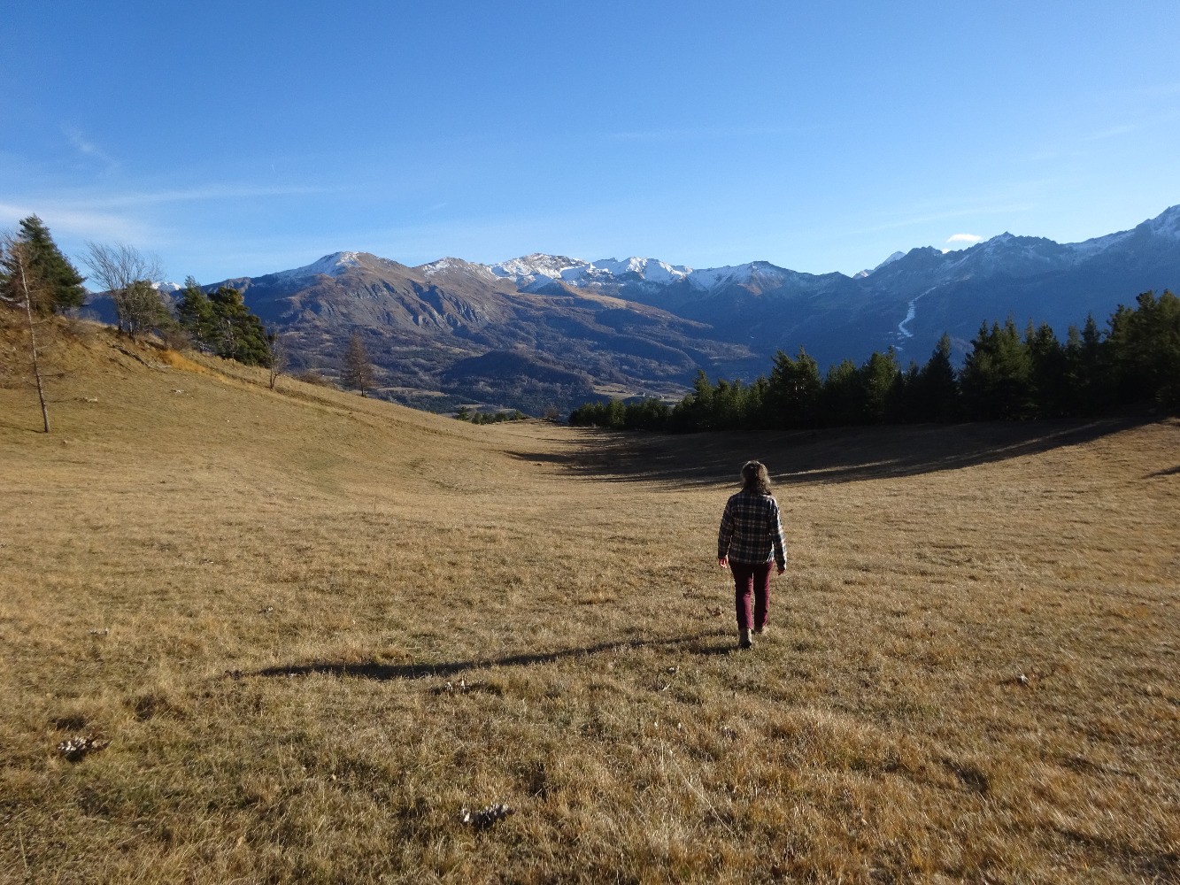 Descente dans la prairie en-dessous des Granges