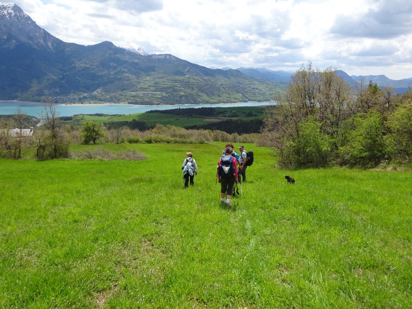 Descente dans la prairie