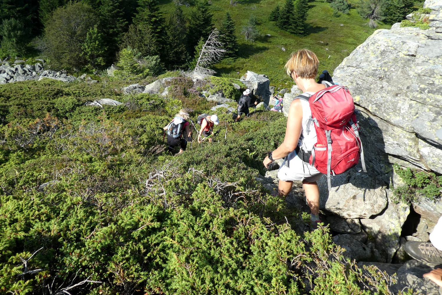 Descente du SÃ©ponnet