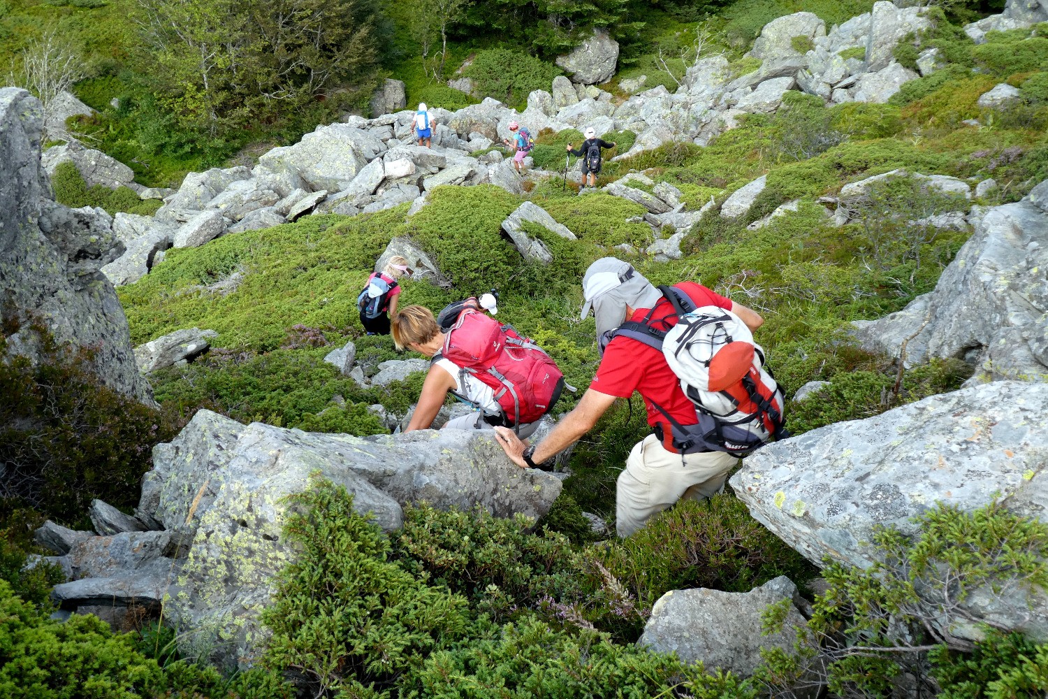 Descente du SÃ©ponnet