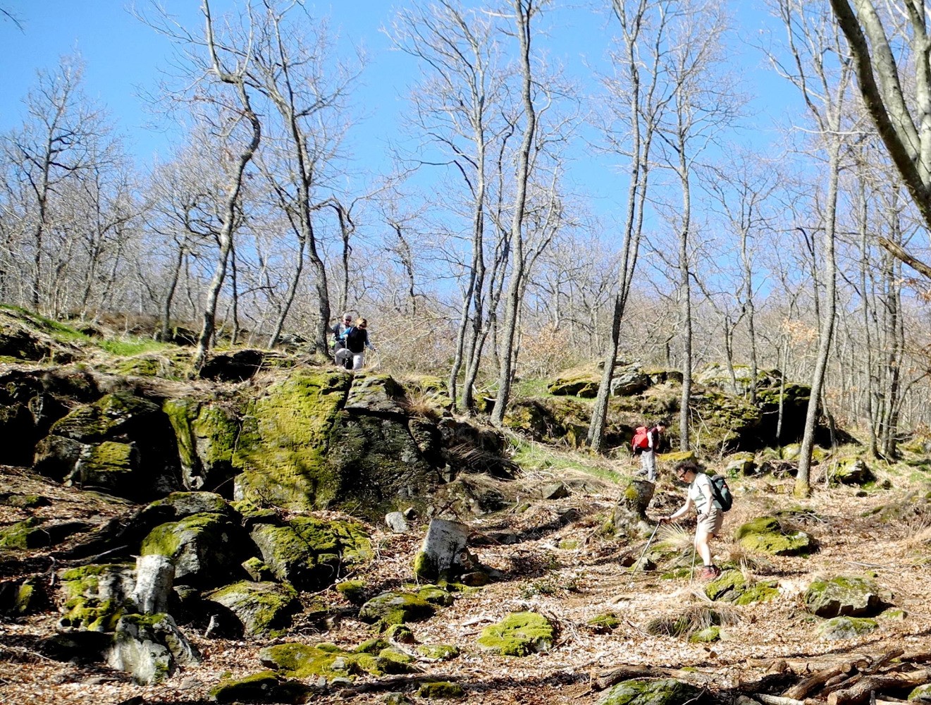 Descente hors sentier sous le chÃ¢teau de BÃ©lize