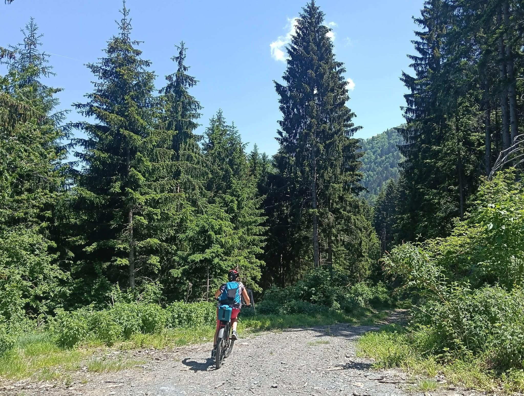 Descente par la belle piste nord 