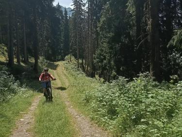 Descente rapide 
