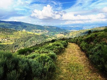 Descente royale dans les genÃªts
