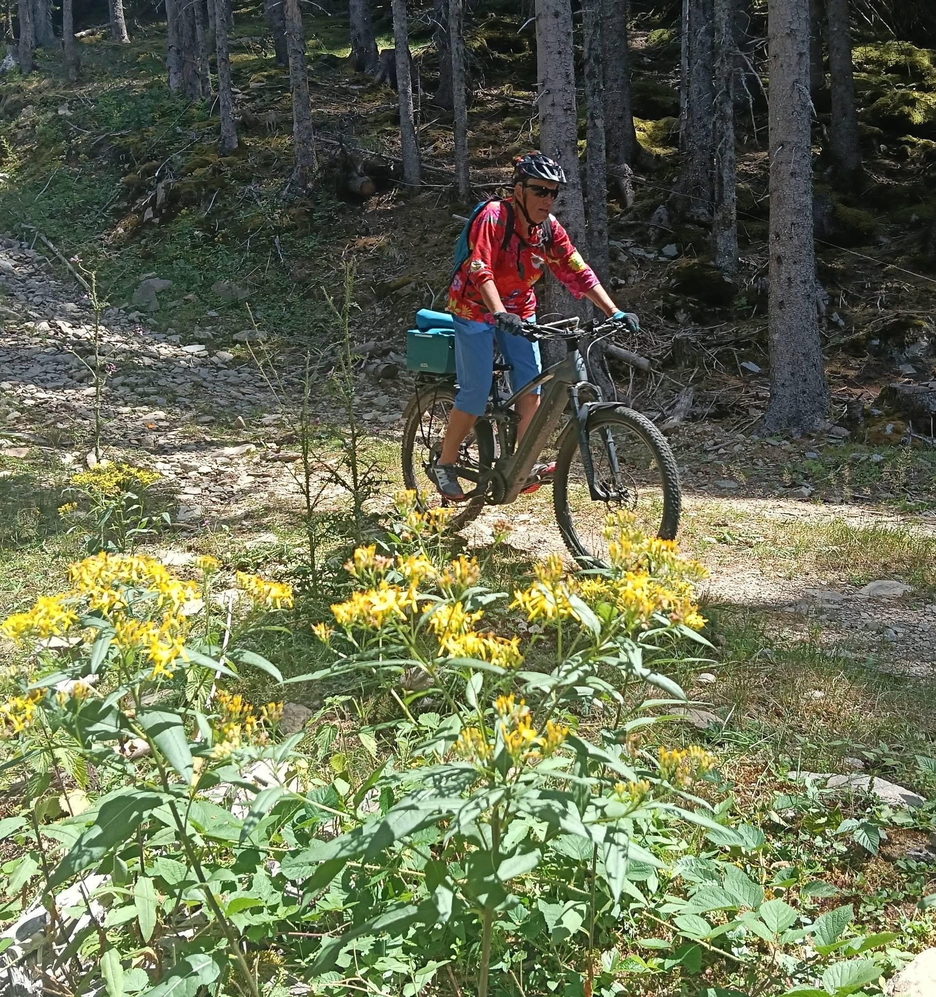 Descente soft 