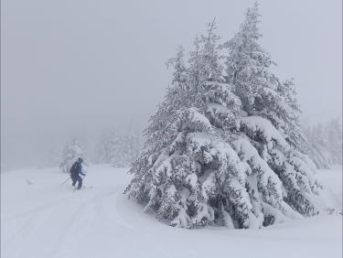 Descente en tracteur 