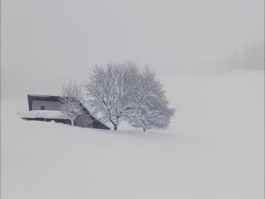 Descente en tracteur 