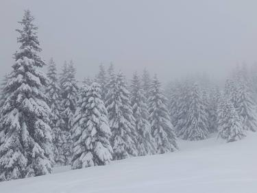 Descente en tracteur 