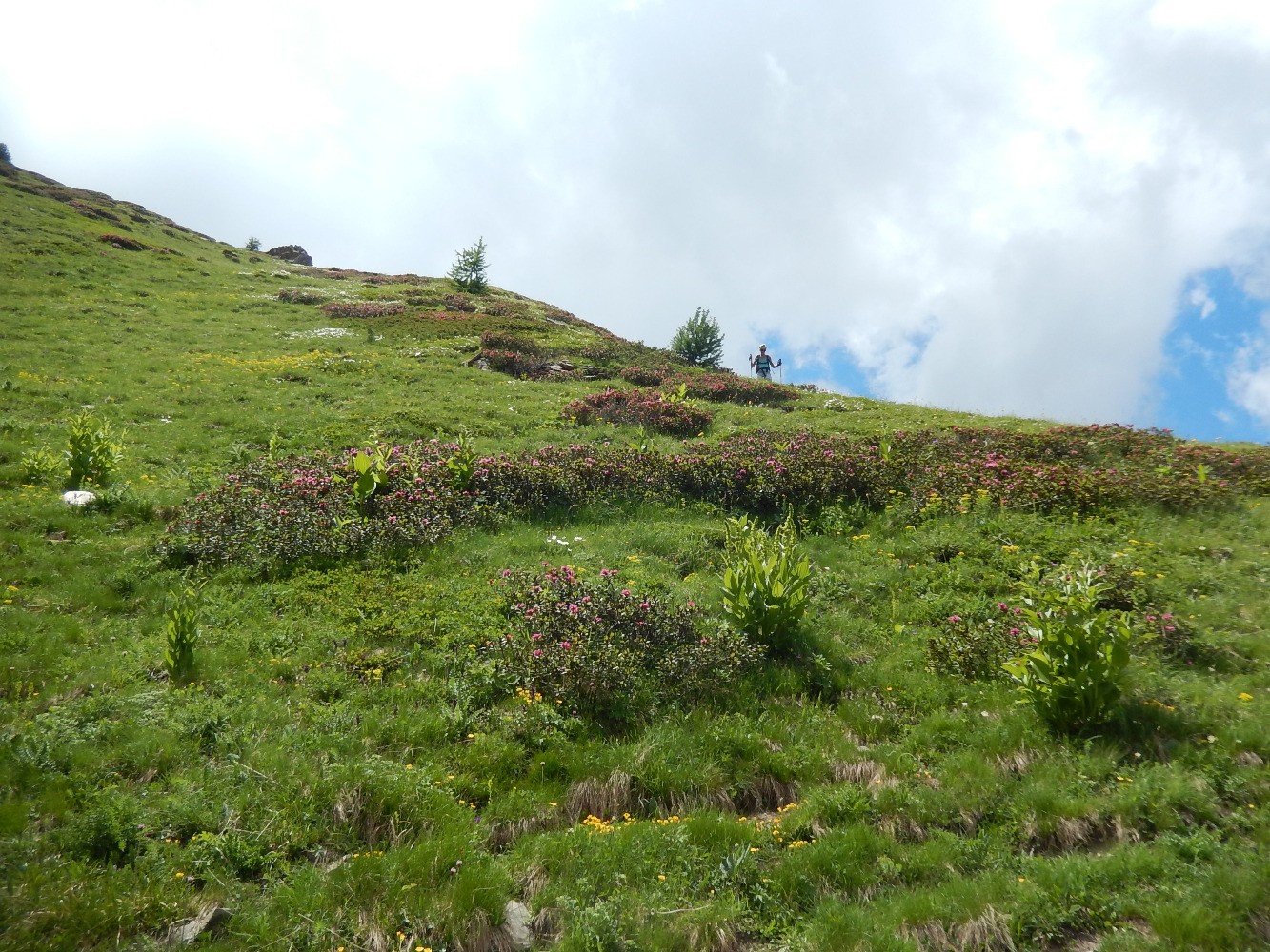 Descente vers le vallon de Muretier