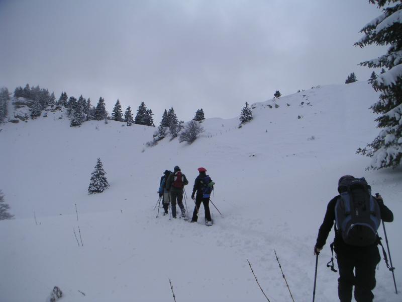 descente..qui remonte..