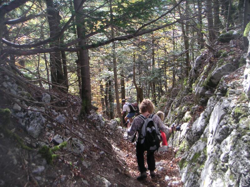 descente