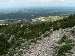 descente