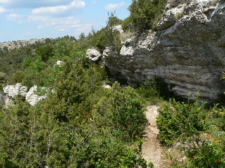 descente