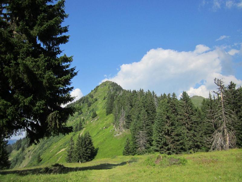 descente