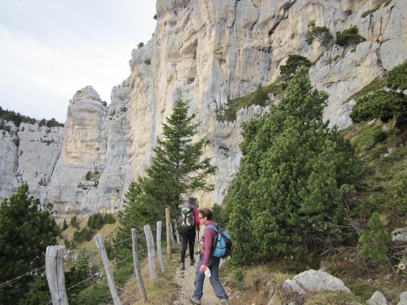 descente