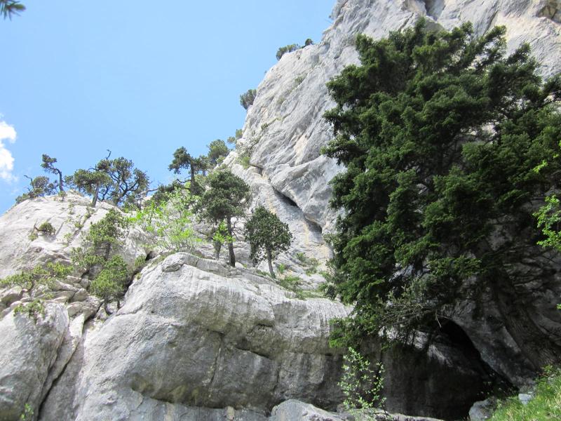 descente