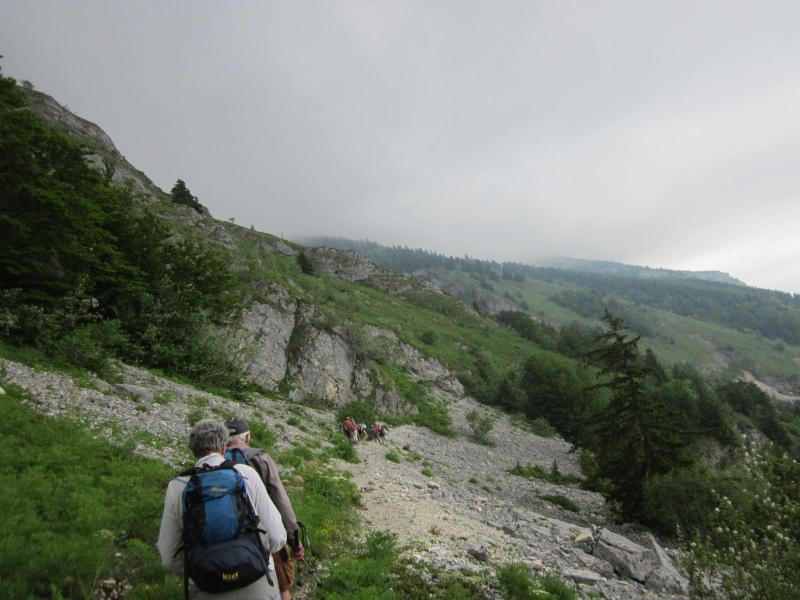descente